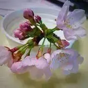 即購入OK‪☺︎‬の画像