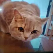 kusuhonの画像