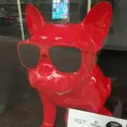 ＭＸＪの画像