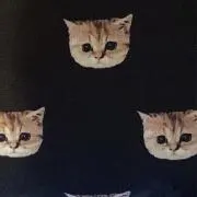 RI プロフ必読の画像