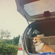 まーちゃんの画像