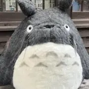 ぽにょ⭐︎の画像