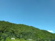 メルピーの画像
