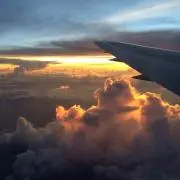 0000mの画像