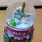 すみれの画像
