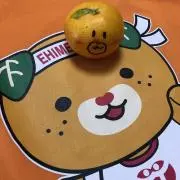 ちゃりメラの画像