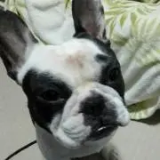 ren☆
