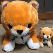 プロフ必読❤にゃみぃ