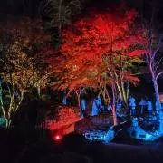 村上雅明の画像