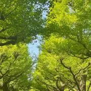 Runの画像