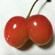 けーしの画像