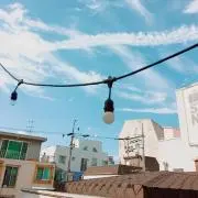 ぱんだの画像