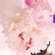 さりちゃんの画像