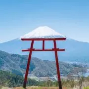 yuuto530の画像
