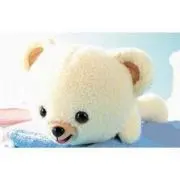 くろとら