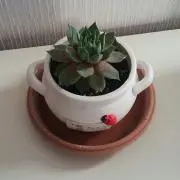 Yonechanの画像