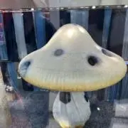 マッチャの画像