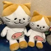 あいるちゃん✴︎プロフ必読✴︎の画像