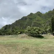 RMの画像