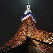 Tomoの画像