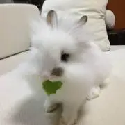 kenの画像