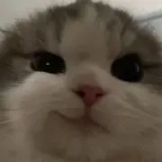 れれれ
