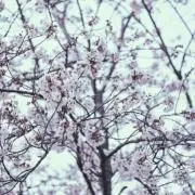 ゆ（値下げ・まとめ買い・匿名配送　可）