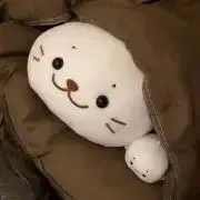 こまこまの画像