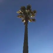 n_y