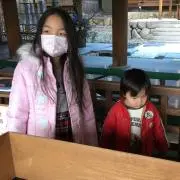 ももちゃん商店の画像