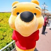 わーいの画像
