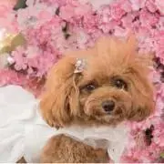 じゅじゅ♡⃛オーダー受付中の画像