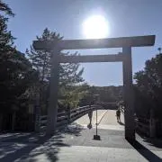 ニカイドウの画像