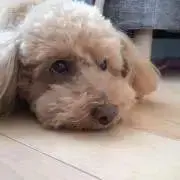 みとの画像