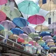chii..＊の画像