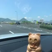 ドンちゃんの画像