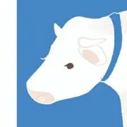 シティの画像