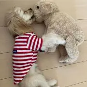 ちぬ★プロフ見てください★の画像