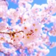 AZU♡双子育児中