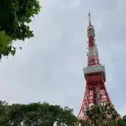 スタームの画像