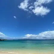 まろの画像