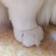 ふかみ