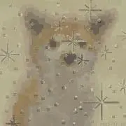 12巻セット】 黒バス 黒子のバスケ クロバスカレシ アンソロ