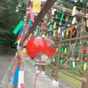 Tuanjp1996