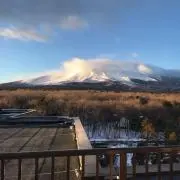 りゅうの画像
