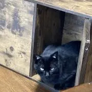 ちるちるの画像