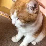 ♥のりすけ♥