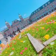 aoyaaan♡の画像