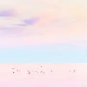 ねむこ
