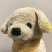 muffinの画像